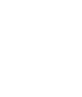 VfL Hameln Logo 175
